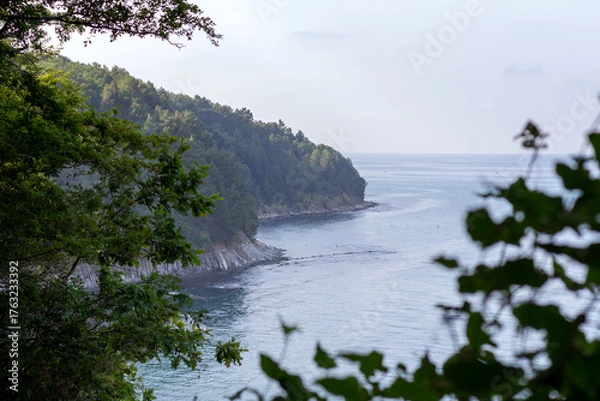 Fototapeta Aerial view of the sea and mountain landscape through the foliage of trees