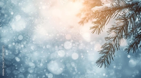 Fototapeta Winter Snowfall Background with Pine Branches and Soft Sunlight