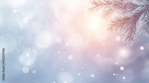 Fototapeta Winter Snowfall Background with Pine Branches and Soft Sunlight