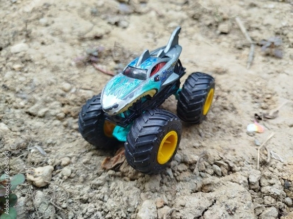 Obraz dead sea turtle