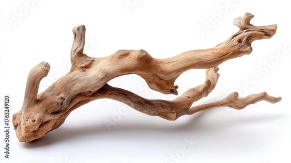 Fototapeta Driftwood branch isolated on white background
