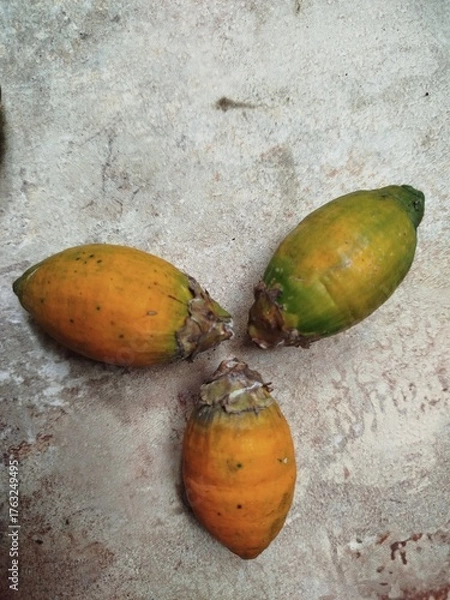 Obraz coconut on the beach