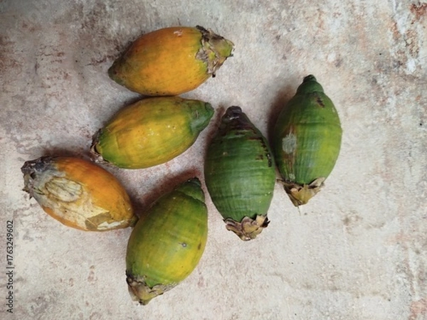 Obraz apples and pears