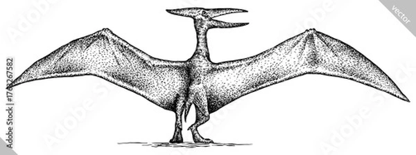 Fototapeta Vintage engraving isolated pterosaur set illustration pterodactylus ink sketch. Flying dinosaur background silhouette Jurassic art. Black and white hand drawn vector image