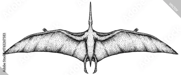 Fototapeta Vintage engraving isolated pterosaur set illustration pterodactylus ink sketch. Flying dinosaur background silhouette Jurassic art. Black and white hand drawn vector image