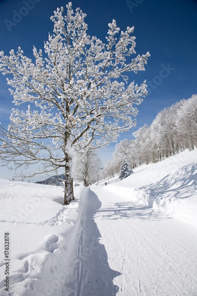 Obraz Winterwanderweg
