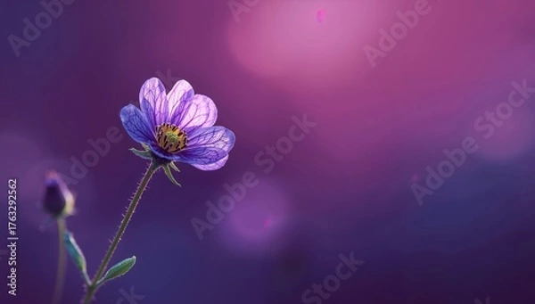 Obraz Violet Blooms Serenity. A Delicate Floral Portrait Against a Dreamy Backdrop.