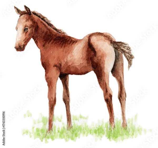 Obraz アナログ水彩仔馬