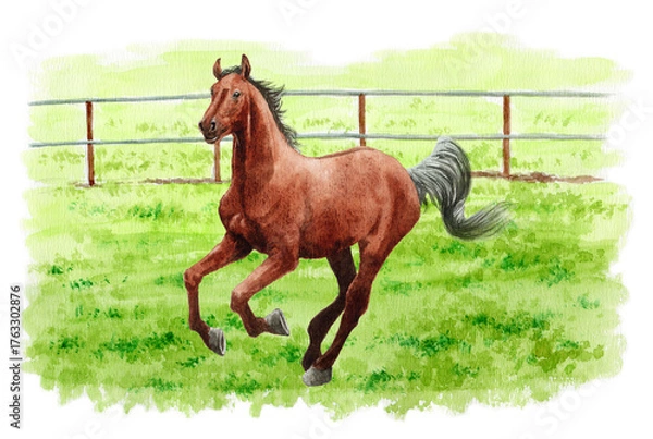 Obraz アナログ水彩画牧場を駆ける馬