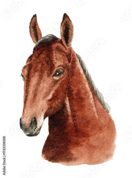 Obraz アナログ水彩画馬の顔