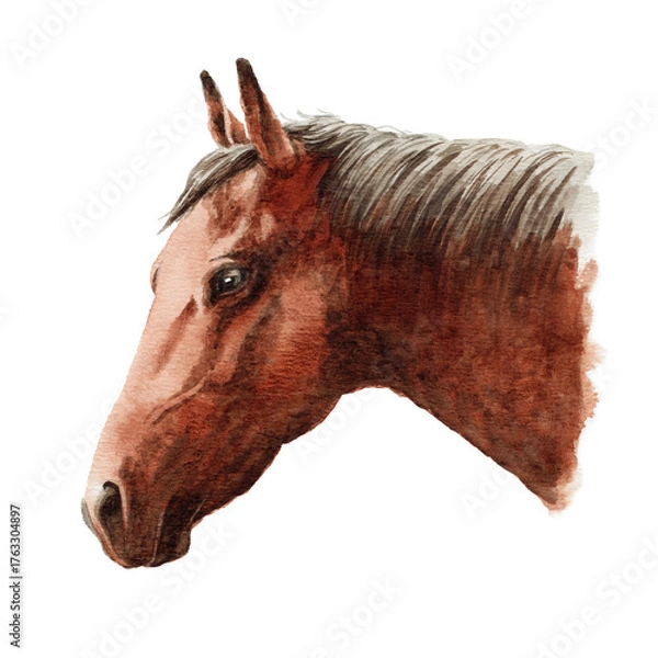 Obraz アナログ水彩画馬の横顔