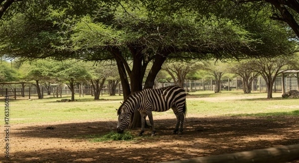 Fototapeta Weekend at the Urban Zoo