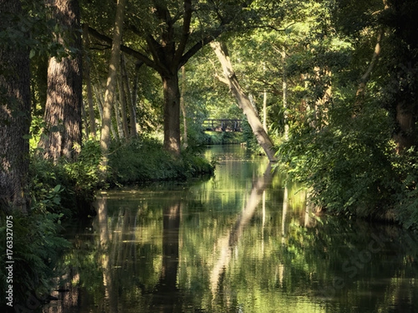Obraz Spreewald