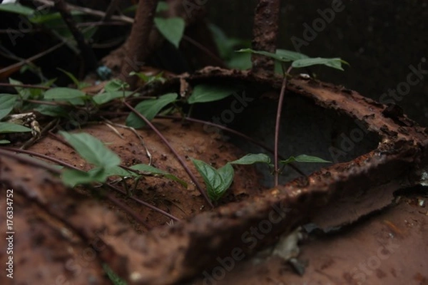 Fototapeta 古き鉄