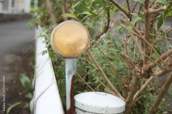 Fototapeta 交通安全