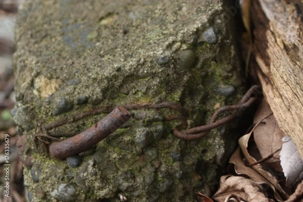 Fototapeta 古き壁