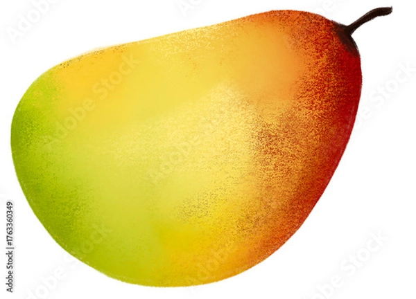 Obraz Mango fruit