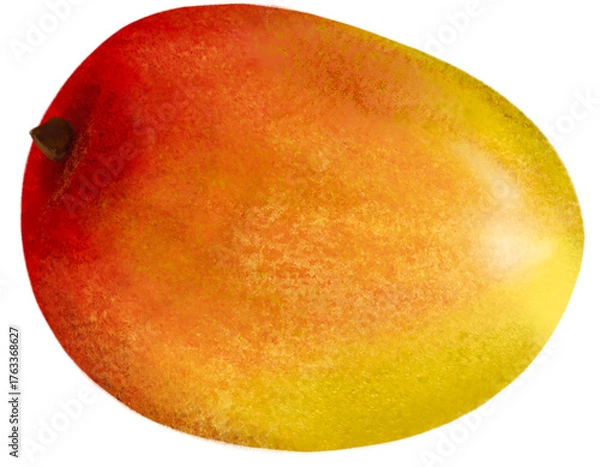 Obraz mango isolated on white