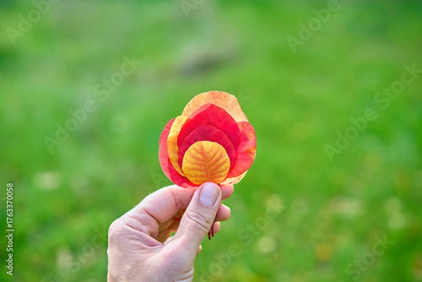 Obraz Colorful autumn leaves in hand on sunny day. Beauty nature