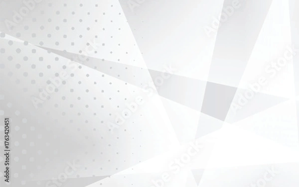 Fototapeta Abstract Geometric modern white and gray color . Modern Minimal and Creative Trend design modern white pattern. 