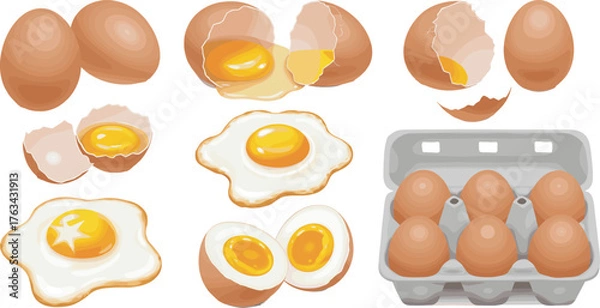 Fototapeta Fresh brown eggs and fried egg illustrations, cracked egg collection with yolk and carton box, realistic breakfast food vector design concept