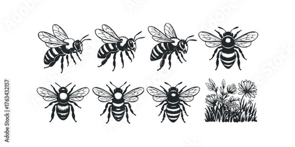 Fototapeta Collection of stylized bees and wildflowers in black and white