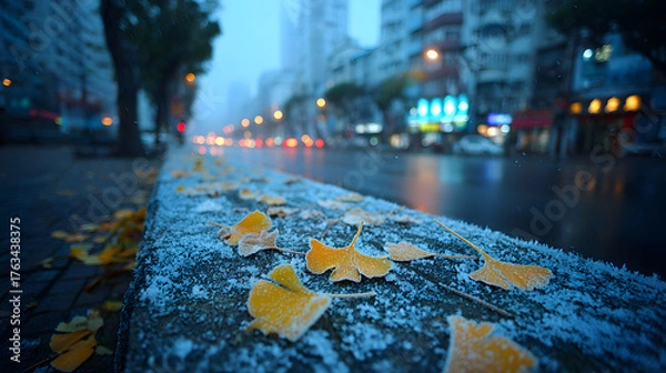 Obraz First Frost on Ginkgo Path