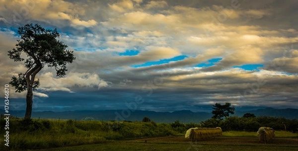 Obraz Nunves vermelhas 