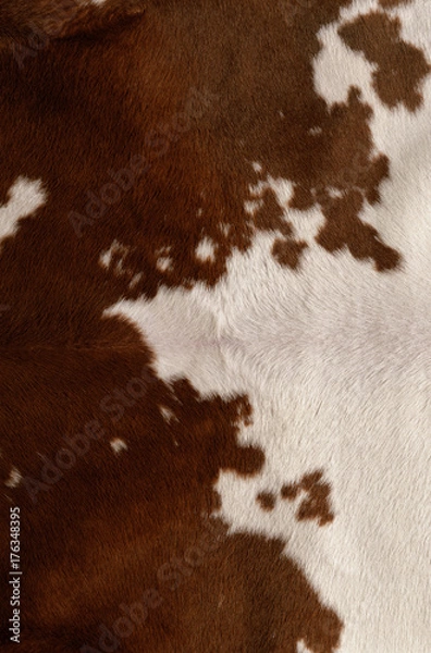 Obraz tekstura skóry bydlęcej
