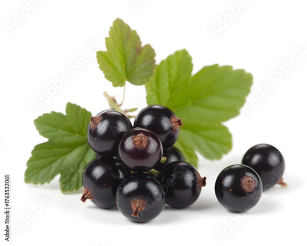 Obraz Fresh black currants with vibrant green leaf offer a healthy treat for summer recipes, smoothies and desserts on white, inspiring a natural lifestyle
