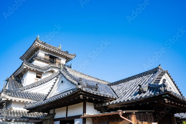 Obraz 高知城の風景（高知市）