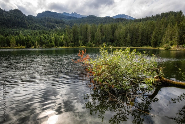 Obraz Frauensee in Tirol