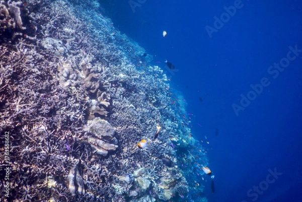 Obraz blue water surface