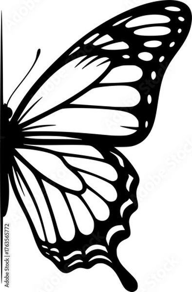 Fototapeta Half butterfly silhouette. This image shows a black silhouette of half a butterfly with detailed wings and antennae, also referred to as a butterfly outline. Vector clipart black illustration design