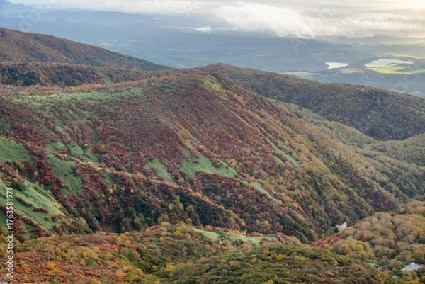 Fototapeta 栃木県　紅葉真っ盛りの那須岳
