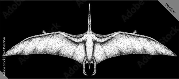 Fototapeta Vintage engraving isolated pterosaur set illustration pterodactylus ink sketch. Flying dinosaur background silhouette Jurassic art. Black and white hand drawn vector image