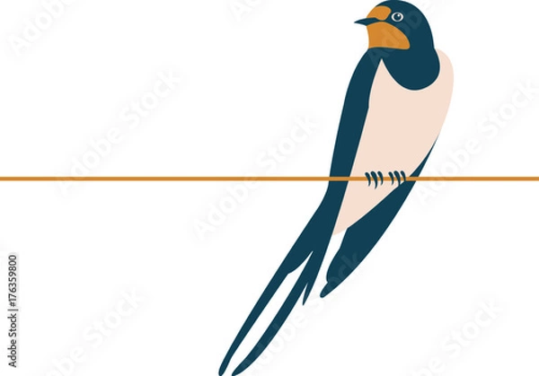 Fototapeta swallow vector illustration style flat side front