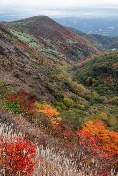 Fototapeta 栃木県　紅葉真っ盛りの那須岳
