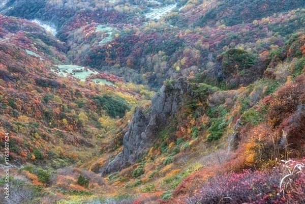Fototapeta 栃木県　紅葉真っ盛りの那須岳
