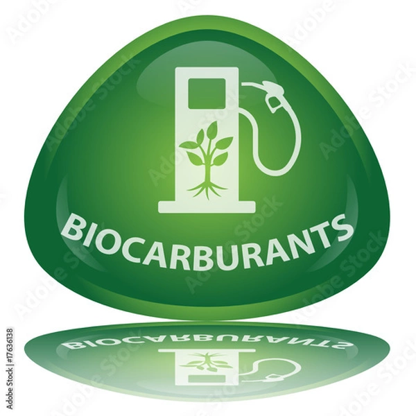 Obraz Bouton "Biocarburants"