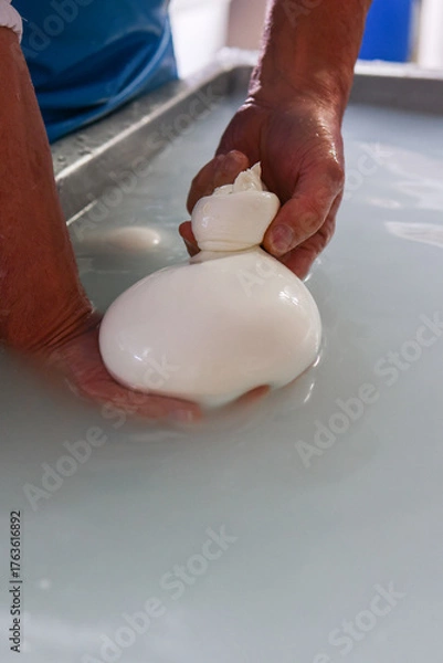 Fototapeta Operaio di un caseificio mentre prepara la mozzarella di bufala campana a mano 