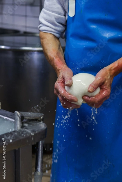Obraz Operaio di un caseificio mentre prepara la mozzarella di bufala campana a mano 