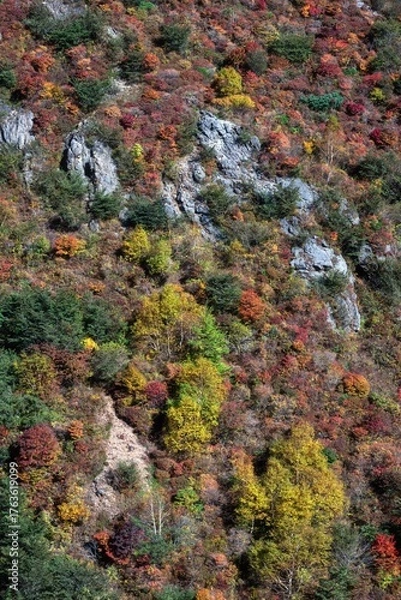 Fototapeta 栃木県　紅葉真っ盛りの那須岳
