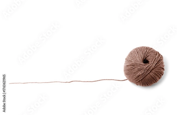 Obraz Brown knitting yarn isolated on white