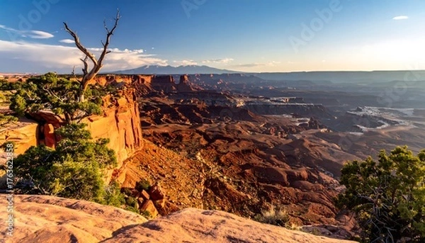 Fototapeta Breathtaking vista overlooking a vast canyon system during golden hour. The landscape features rugged rock formations and sparse vegetation, under a clear sky