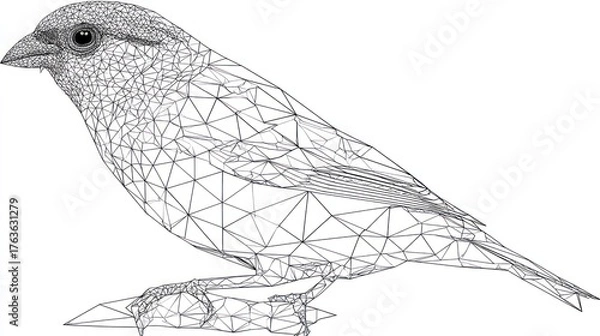 Fototapeta Abstract bird wireframe design