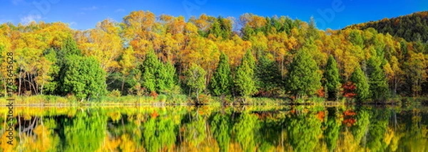 Obraz 輝く木戸池の秋（パノラマ）