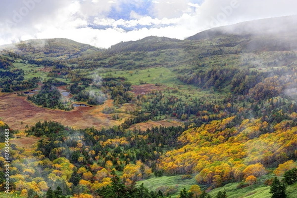 Fototapeta 霧のかかる芳ヶ平湿原の秋