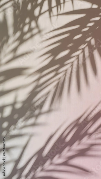 Fototapeta Palm leaf shadows on beige wall, tropical minimal background