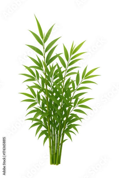 Fototapeta Rosemary on white background